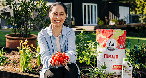 Grow tomatoes