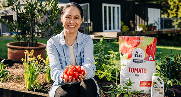 Grow tomatoes