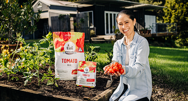 Maria is planting her favourite tomatoes for summer salads.