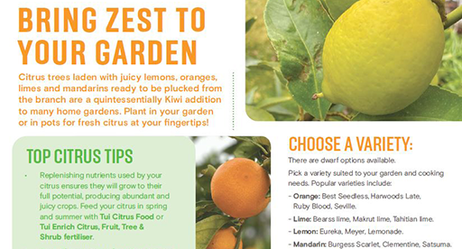 P14. All you need to know for citrus success