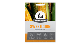 Tui Sweetcorn Seed - Golden Sweet F1