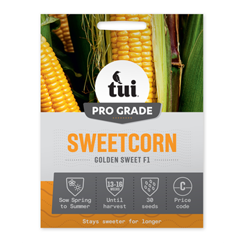 Tui Sweetcorn Seed - Golden Sweet F1