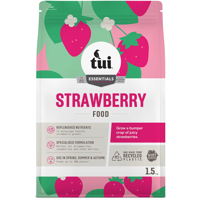 Tui Strawberry Food
