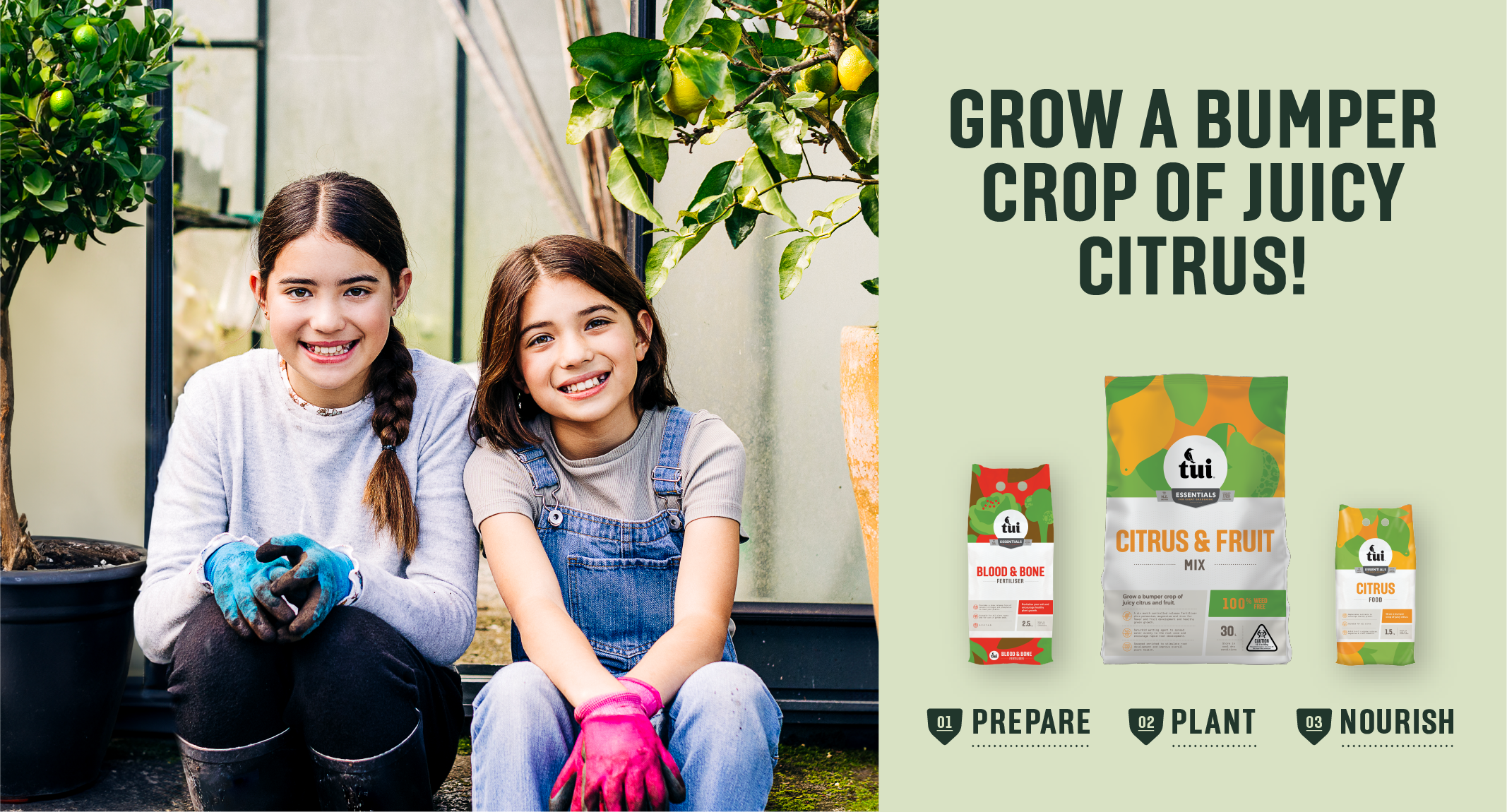 Grow a bumper crop of citrus