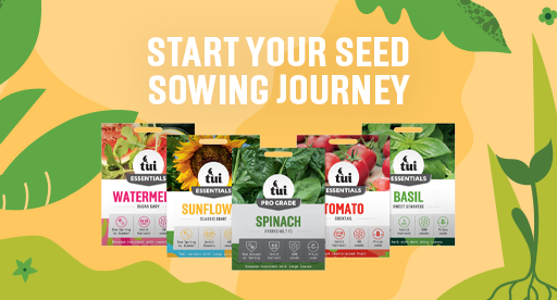 Sow seeds with Tui