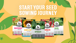 Start your Seed Sowing Journey with Tui