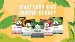 Start your Seed Sowing Journey with Tui