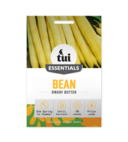 Tui Bean Seed - Dwarf Butter