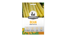 Tui Bean Seed - Dwarf Butter