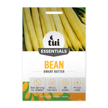 Bean - Dwarf Butter