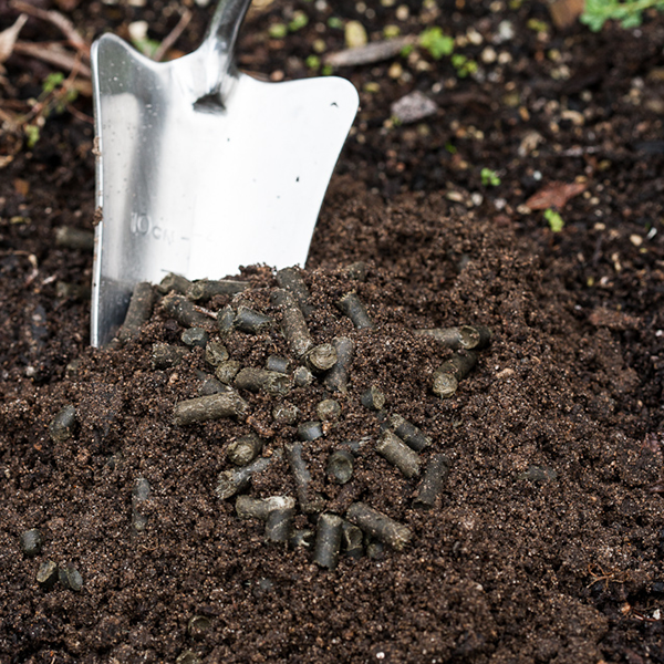 Tui Sheep Pellets dig into garden soil