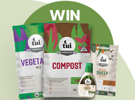 Win autumn soil care
