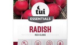 Radish - Red Globe