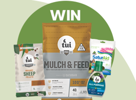 Win summer garden essentials