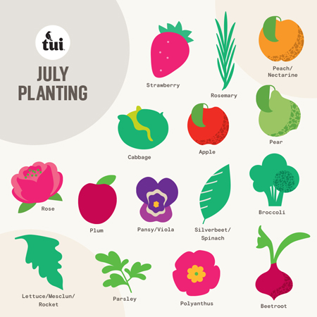 july gardening guide