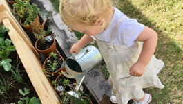 10 ways to garden as a family