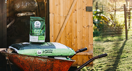 Top Tips for a Beautiful Lawn