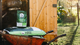 Top Tips for a Beautiful Lawn