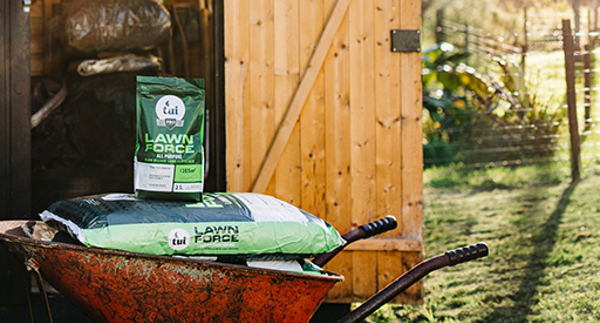 Tui Top tips for a beautiful lawn