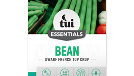 Bean - Dwarf French Top Crop