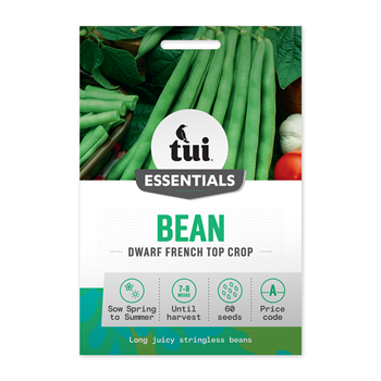 Tui Bean Seed - Dwarf French Top Crop