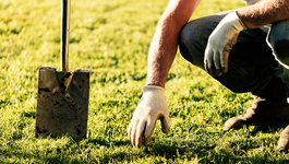 How to prepare your lawn for sowing