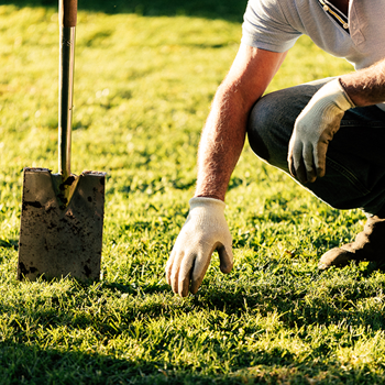 How to prepare your lawn for sowing
