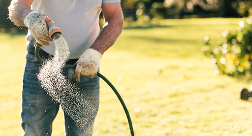 How to care for a new lawn