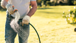 How to care for a new lawn