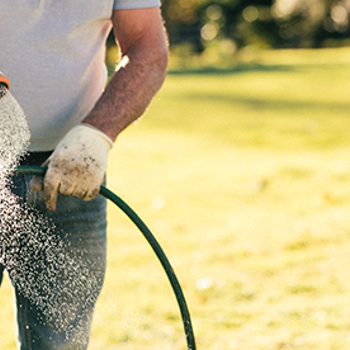 How to care for a new lawn