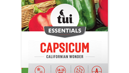 Capsicum - Californian Wonder