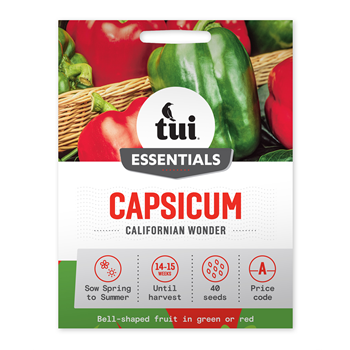 Tui Capsicum Seed - Californian Wonder
