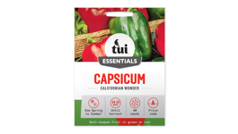 Capsicum - Californian Wonder