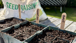 Spring Seed Sowing Guide