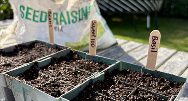 Tui Spring Seed Growing Guide