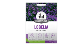 Lobelia - Crystal Palace