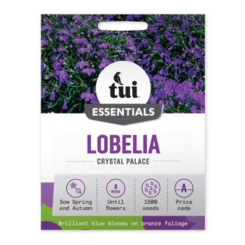 Lobelia - Crystal Palace