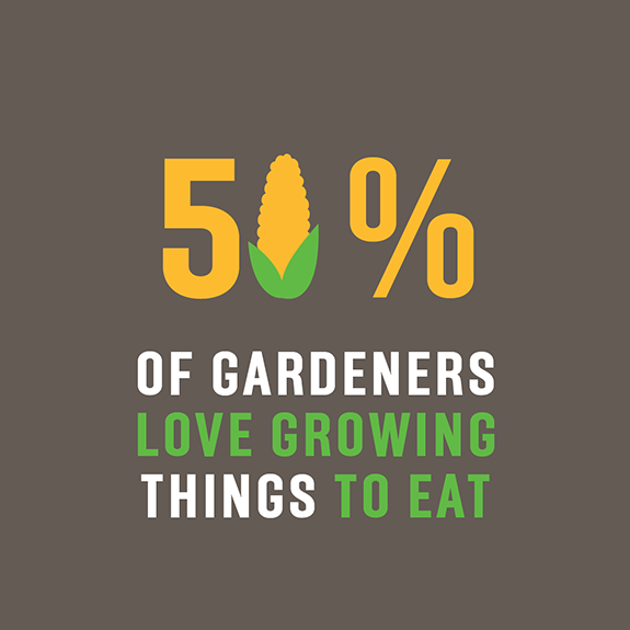 Tui Garden Survey 2026 | Insights from Kiwi Gardeners