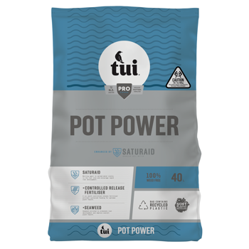 Tui Pot Power
