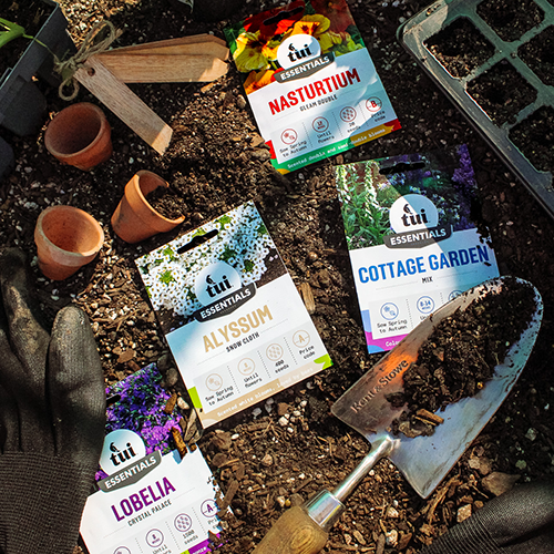 Tui Christmas Gifts Seeds