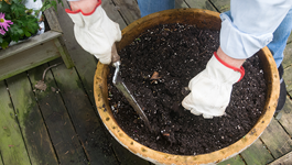 Safe handling of soil and potting mix