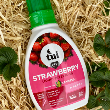 Discover Tui Strawberry Liquid Superfood
