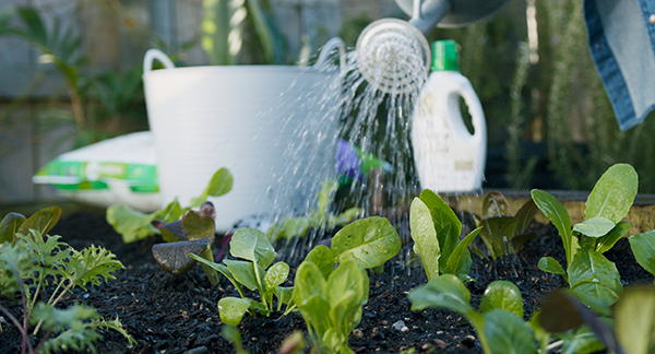 Tui Maintaining Healthy Soil
