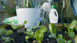 Maintaining healthy soil