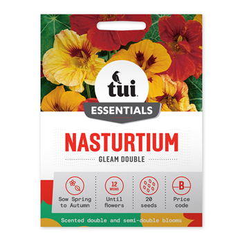 Tui Nasturtium Seed - Gleam Double