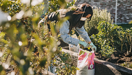 Safe handling of soil and potting mix