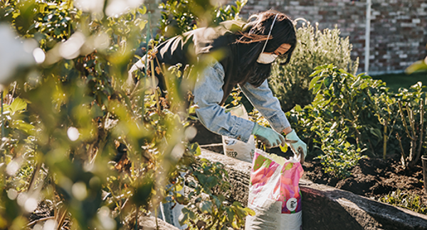 Tui safe handling of soil and potting mix
